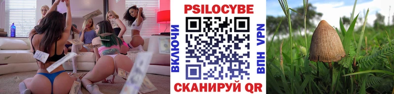 Купить где  Ахтубинск  Галлюциногенные грибы GOLDEN TEACHER 